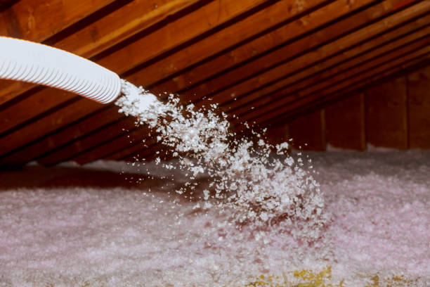 Best Energy Efficiency Insulation in Ocean Ridge, FL