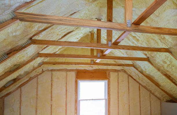 Best Eco-Friendly Insulation in Ocean Ridge, FL