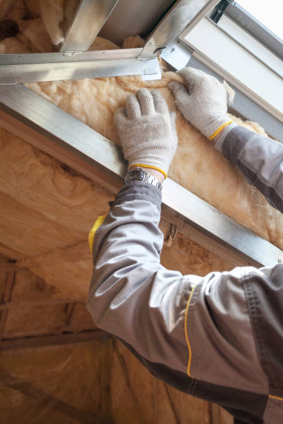 Best Specialized Insulation Services in Ocean Ridge, FL